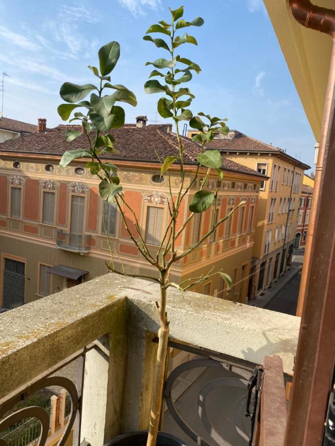 Apartmán Loft Manzoni 37 Cremona Exteriér fotografie